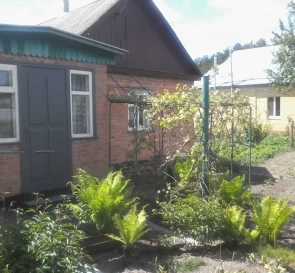 Photo 4. House, for sale. Zintsi