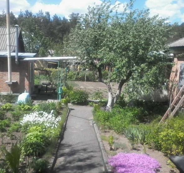 Photo 1. House, for sale. Zintsi