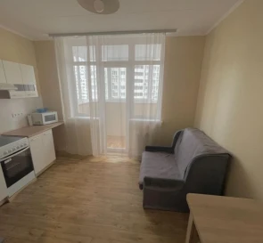Photo 3. One-Room flat, to rent. Kyiv Дарницкий