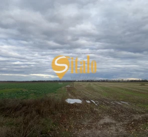 Фото 5. Ділянка, продаж. Петропавлівське
