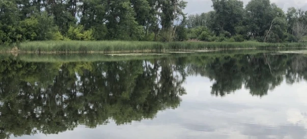 Zdjęcie 2. Działka, na sprzedaż. Zhytomyr Передмістя