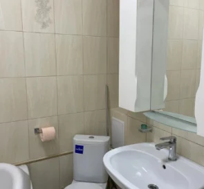Photo 3. One-Room flat, to rent. Kyiv Дарницкий