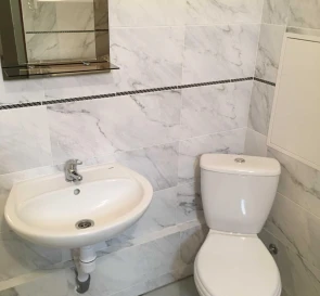 Photo 3. One-Room flat, to rent. Kyiv Дарницкий