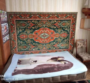 Фото 5. Двокімнатна квартира, оренда. Полтава Шевченковский (Октябрьский)