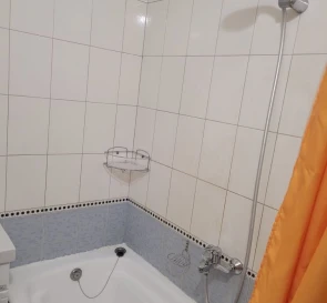 Photo 5. One-Room flat, to rent. Kyiv Дарницкий