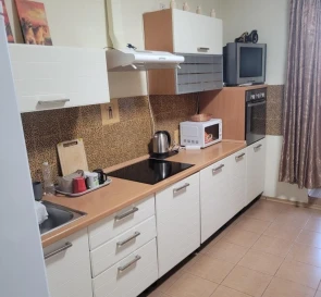 Photo 3. One-Room flat, to rent. Kyiv Дарницкий