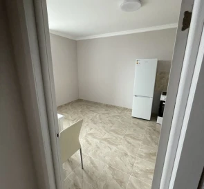 Photo 5. One-Room flat, to rent. Kyiv Дарницкий