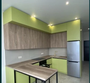 Photo 3. One-Room flat, to rent. Kyiv Дарницкий