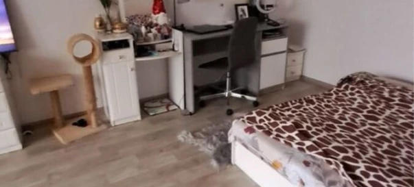 Zdjęcie 1. Kawalerka mieszkanie, do wynajęcia. Poltava