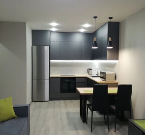 Photo 4. One-Room flat, to rent. Kyiv Дарницкий