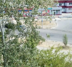 Photo 5. Two-Room flat, to rent. Poltava Подольский