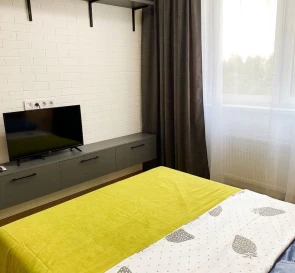 Photo 3. One-Room flat, to rent. Kyiv Дарницкий