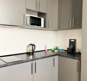Photo 5. One-Room flat, to rent. Kyiv Дарницкий