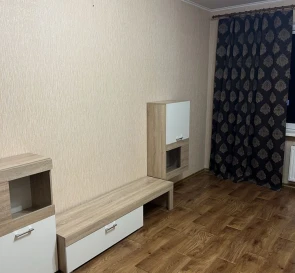 Photo 2. One-Room flat, to rent. Kyiv Дарницкий