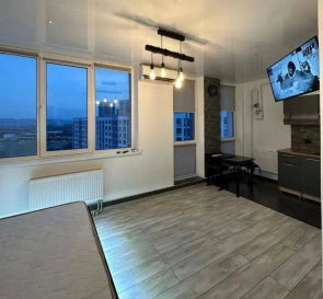 Photo 3. One-Room flat, to rent. Kyiv Дарницкий
