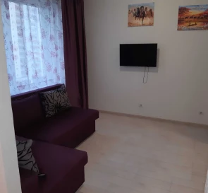 Photo 2. One-Room flat, to rent. Kyiv Дарницкий