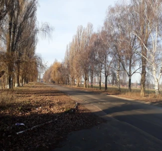 Photo 3. Lot, to rent. Chubynske