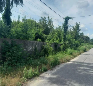 Photo 2. Lot, for sale. Baryshivka