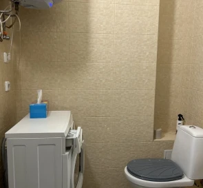 Photo 4. One-Room flat, to rent. Kyiv Днепровский район