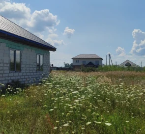 Photo 2. House, for sale. Khotianivka