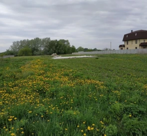 Фото 5. Участок, продажа. Рогозов