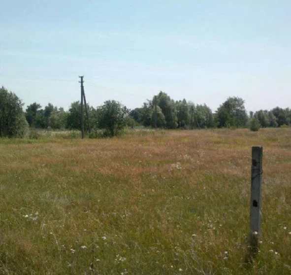 Photo 1. Lot, for sale. Berezan