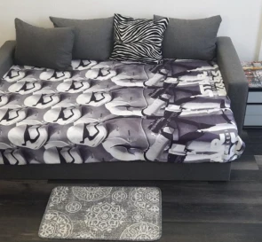 Photo 2. One-Room flat, to rent. Kyiv Дарницкий