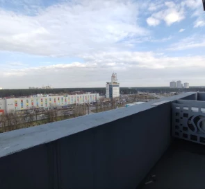Photo 5. One-Room flat, to rent. Kyiv Дарницкий