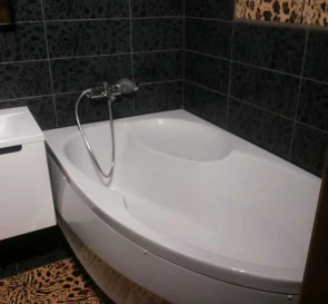 Photo 3. One-Room flat, to rent. Kyiv Дарницкий