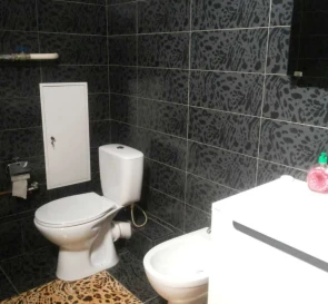 Photo 5. One-Room flat, to rent. Kyiv Дарницкий