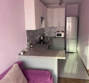 Photo 3. One-Room flat, to rent. Kyiv Дарницкий
