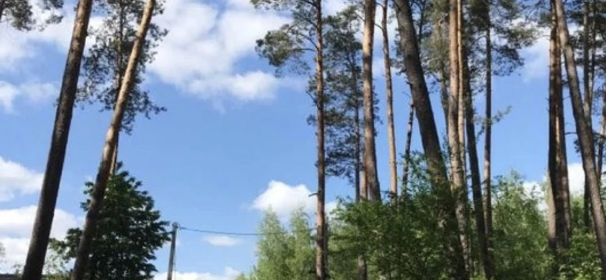 Фото Ділянка, продаж. Житомир Передмістя