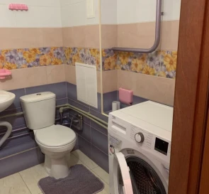 Photo 3. One-Room flat, to rent. Kyiv Дарницкий