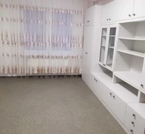 Photo 2. One-Room flat, to rent. Kyiv Дарницкий