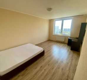Photo 4. One-Room flat, for sale. Kyiv Голосеевский, Iprodrom