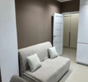 Photo 3. One-Room flat, for sale. Sofiivska Borshchahivka