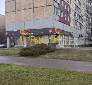 Фото 4. Комерційна, оренда. Кривий Ріг Саксаганський