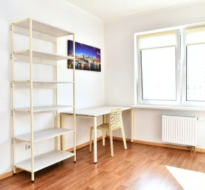 Photo 3. One-Room flat, to rent. Kyiv Дарницкий