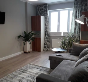 Photo 2. One-Room flat, to rent. Kyiv Дарницкий