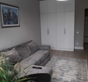 Photo 3. One-Room flat, to rent. Kyiv Дарницкий
