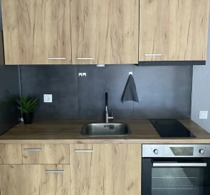 Photo 5. One-Room flat, for sale. Kyiv Голосеевский