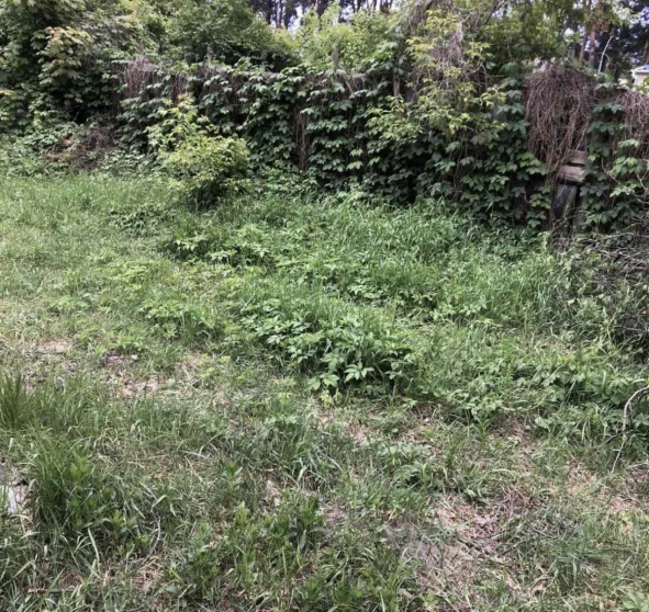 Фото 1. Ділянка, продаж. Житомир Передмістя