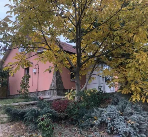 Fotografie 4. Casă, de vânzare. Poltava Шевченковский (Октябрьский)