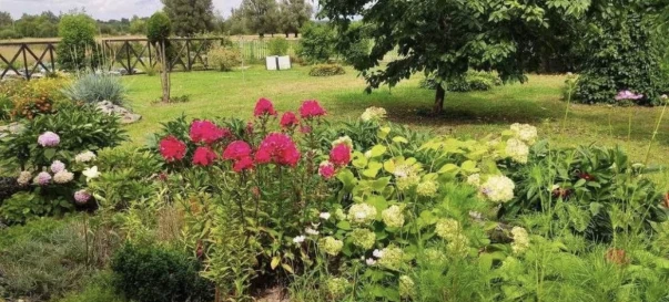 Zdjęcie 2. Czteropokojowe mieszkanie, na sprzedaż. Zhytomyr Передмістя