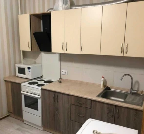 Photo 3. One-Room flat, to rent. Kyiv Дарницкий