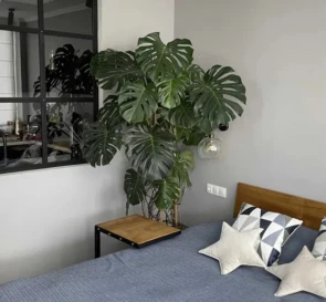 Foto 3. Dos Ambientes piso, en venta. Kyiv Подольский