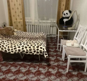 Fotografie 4. Garsonieră apartament, de închiriat. Poltava Шевченковский (Октябрьский)