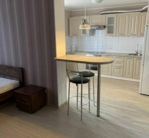 Photo 5. One-Room flat, to rent. Kyiv Дарницкий