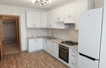 Photo One-Room flat, for sale. Petropavlivska Borshchahivka