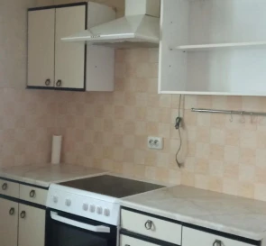 Photo 3. One-Room flat, to rent. Kyiv Дарницкий